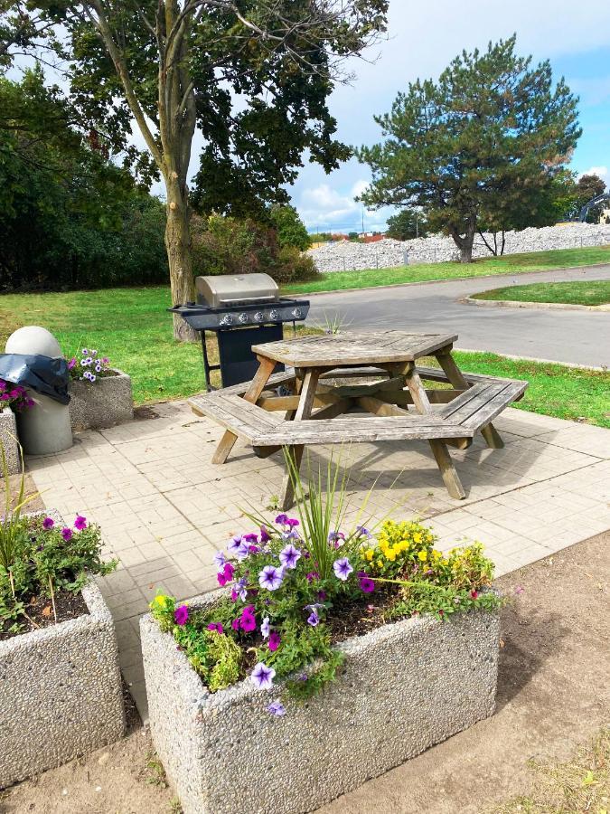 Comfort Inn Cambridge Εξωτερικό φωτογραφία